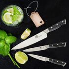 Dellinger Sada kuchyňských nožů Dellinger Mirror, 3dílná