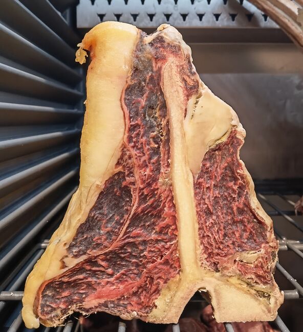 T-bone steak DRY AGED